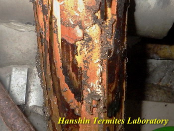 2026�N1���x�g�b�v�y�[�W�摜